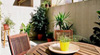 Holiday apartment rental in Barcelona Holiday apartment rental in Barcelona