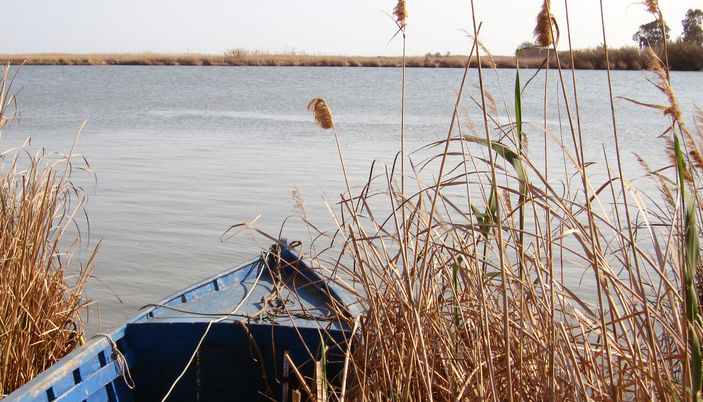 Visit the Delta del Ebro Visit the Delta del Ebro