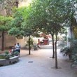 Café Estiu - Barcelona