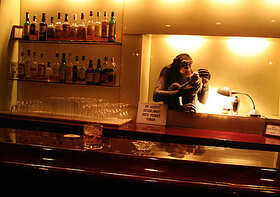Gimlet Gimlet