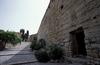 
archaeological-walk-tarragona_2