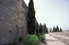 
archaeological-walk-tarragona_4