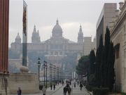 Museu Nacional d'Art de Catalunya Museu Nacional d'Art de Catalunya
