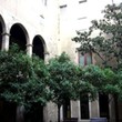Museo Frederic Marès