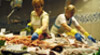 Fish and seafood restaurants in Barcelona Fish and seafood restaurants in Barcelona