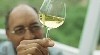 Wine Tasting Tour in Barcelona