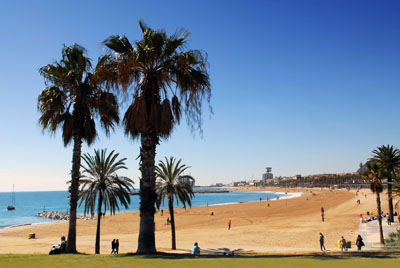 Barcelona beach spain - ©dzain - Fotolia.com Barcelona beach spain - ©dzain - Fotolia.com