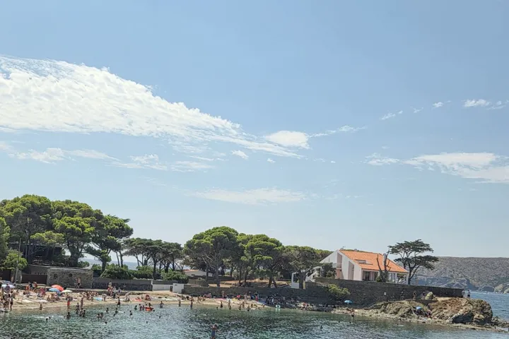 Swimmers and a paddleboarder enjoy Platja del Ros, lined with pines and white houses.