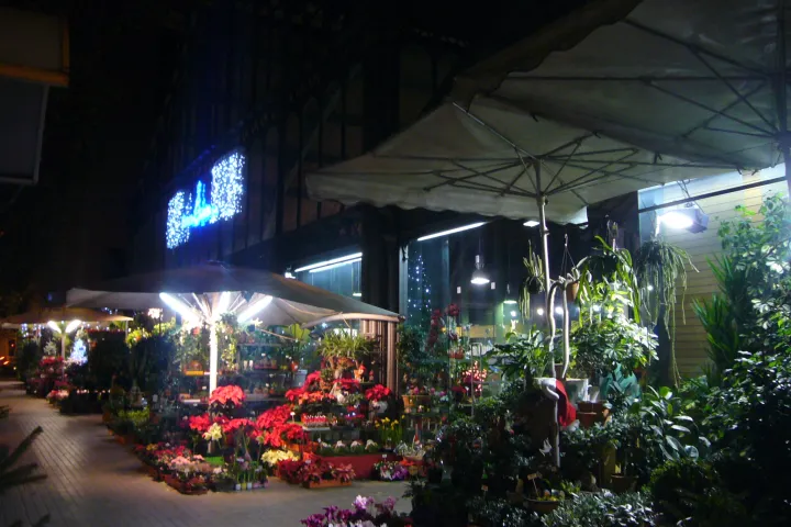 Die Blumenstände des Mercat de la Concepció, abends beleuchtet, mit Weihnachtssternen und Sträußen unter den Sonnenschirmen