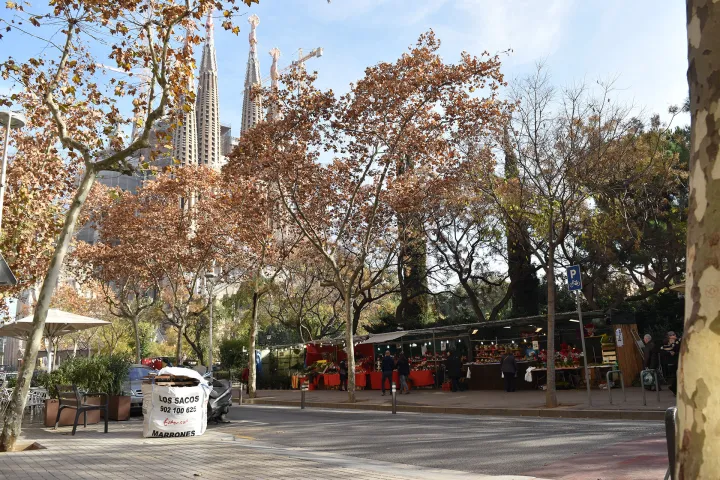 Die Allee der Fira de Nadal, gesäumt von Ständen, mit den Türmen der Sagrada Família im Hintergrund