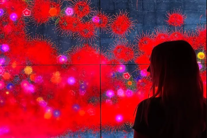 MOCO Barcelona - Sala de Exposição