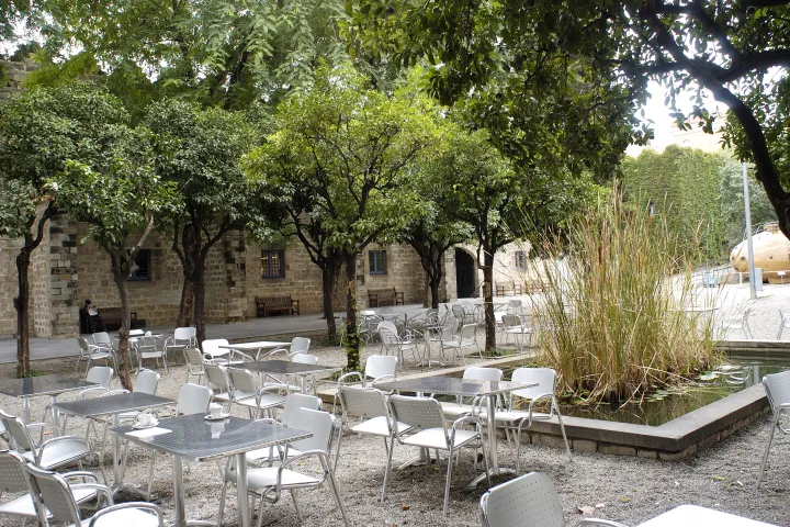 Las mesas del restaurante bajo los árboles, en el patio de las Drassanes, junto a un estanque con juncos