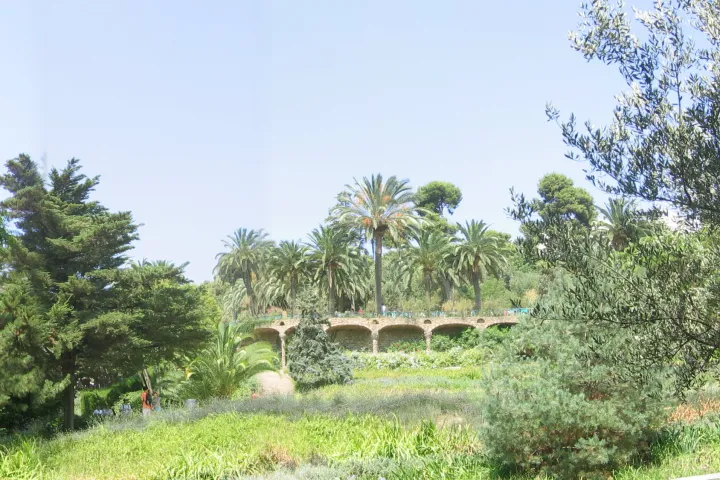 I Giardini d'Austria del Parc Güell, le loro terrazze piantumate e la palmetta, sotto l'arcata del viadotto