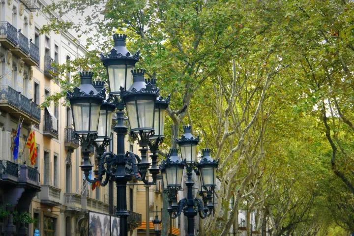 La Rambla sous la voûte des platanes, ses réverbères ouvragés et les immeubles à balcons qui la bordent