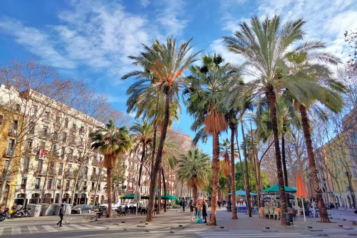 A Rambla do Raval, suas palmeiras e terraços, vista desde o Carrer de l'Hospital