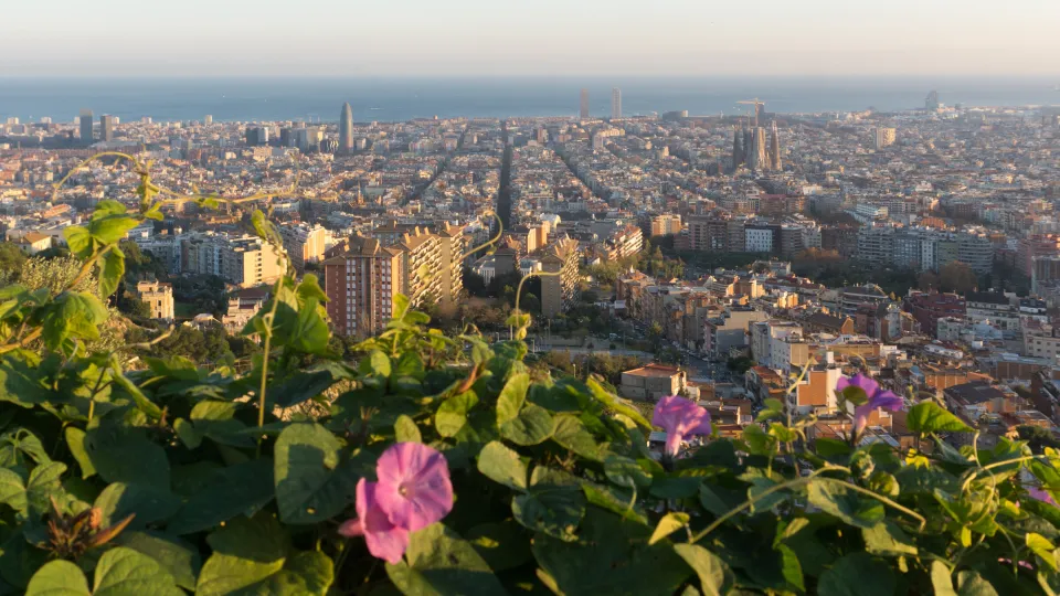 Barcelona vista desde los Bunkers del Carmel al atardecer: los tejados de la ciudad, la Sagrada Família y el mar al fondo