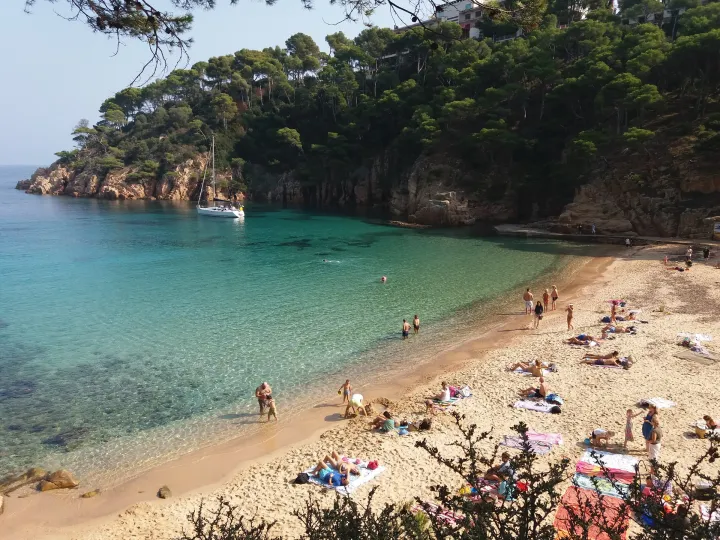 Der Sandstrand von Aiguablava erstreckt sich entlang türkisfarbenem Wasser, unterhalb einer bewaldeten Klippe, mit einem Segelboot vor Anker.