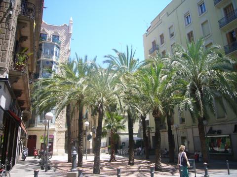 Plaça de Trilla - Gràcia - Barcelona ( Wikipedia )