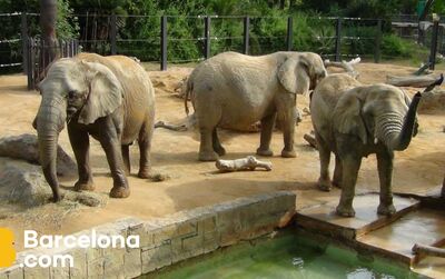 Picasso Guided Walking Tour 