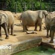 Barcelona Zoo Tickets