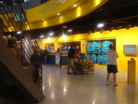 Inside the store
